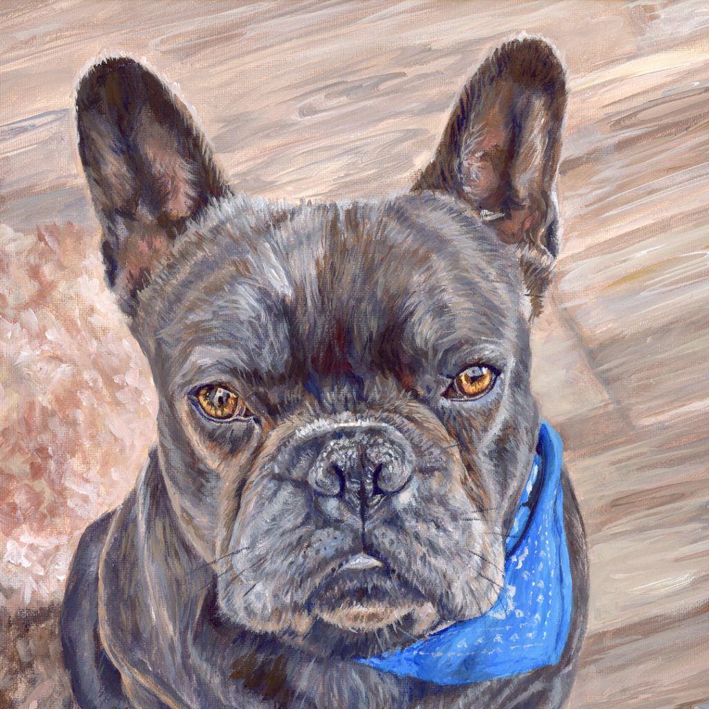 close up view of a french bulldog pet portrait painting in acrylic