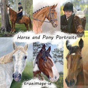 horse portraits and pony portraits gallery page equine artist