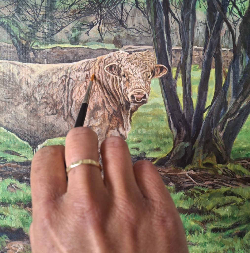 adding fine detail to a portrait painting of a blond charolais cattle bull