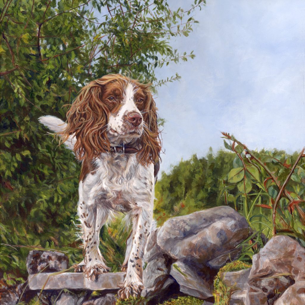 english springer spaniel dog portrait painting in acrylic on canvas