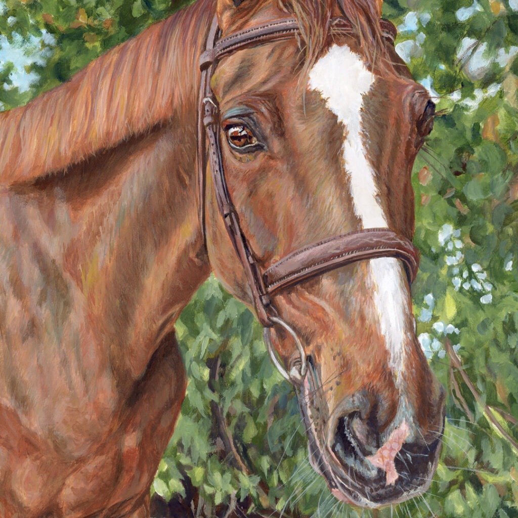 bay horse acrylic portrait painting detail