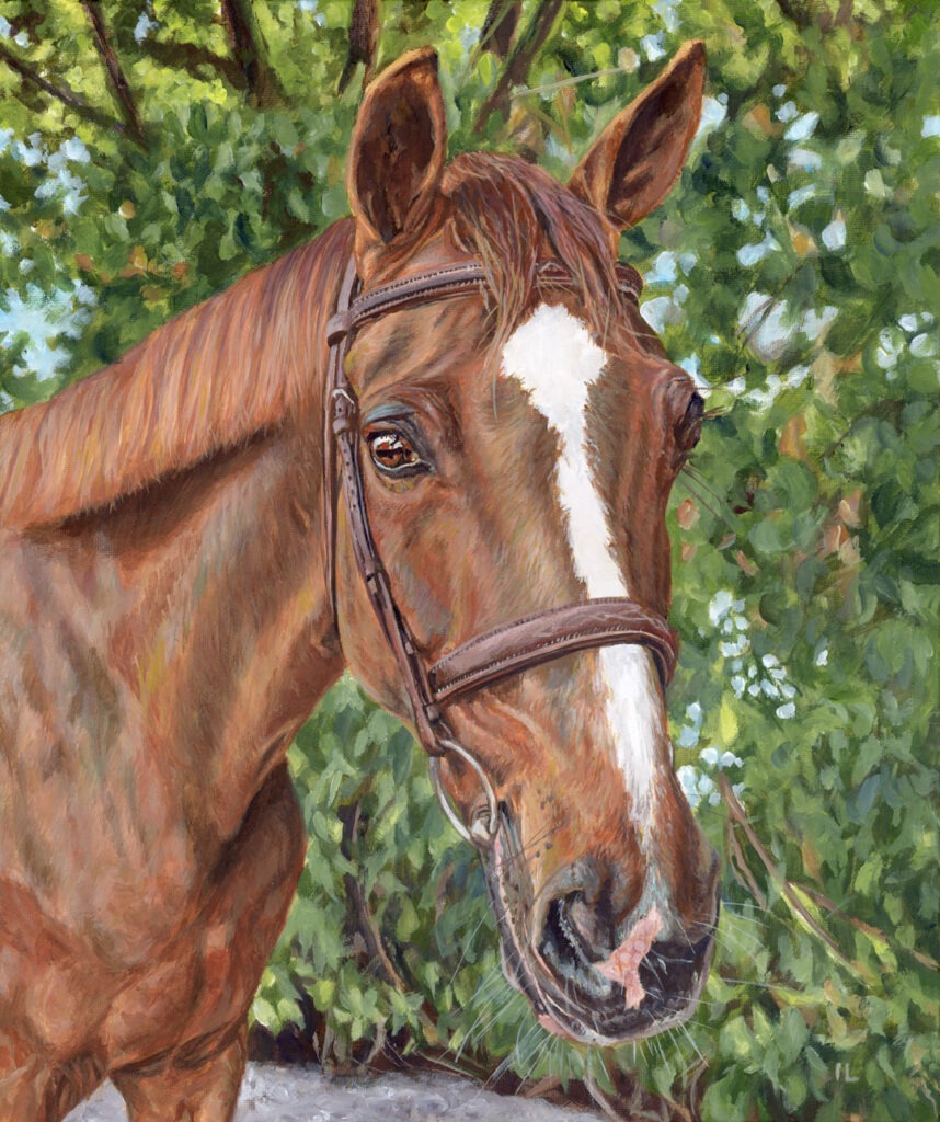 equine horse head portrait painting hand painted by artist