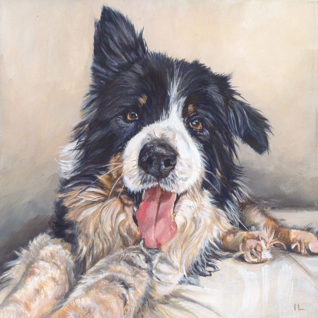 puppy border collie in paint on canvas