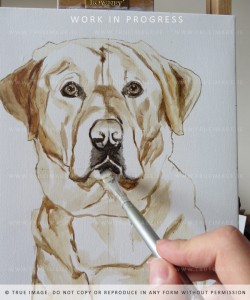 acrylic painting of a labrador - part 2