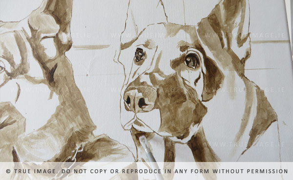 two german shepherds portrait in acrylic - work in progress