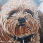 cavachon painting detail