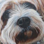 acrylic painting of a cavachon