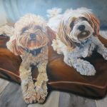 last detailing of dog portrait