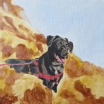 labrador painting step 3