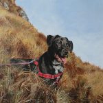 labrador painting step 6