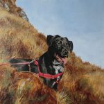 labrador painting step 5