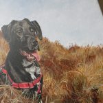 detail of a dog portrait