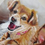 pomeranian cross painting