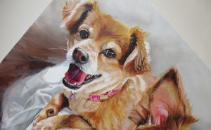 pomeranian cross painting