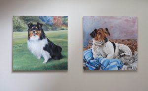 dog portraits