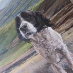 dog portrait close up