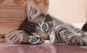 tabby cat portrait