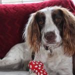 portrait reference photo