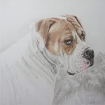 boxer drawing progress