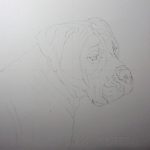 dog sketch