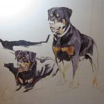 work in progress on a portrait