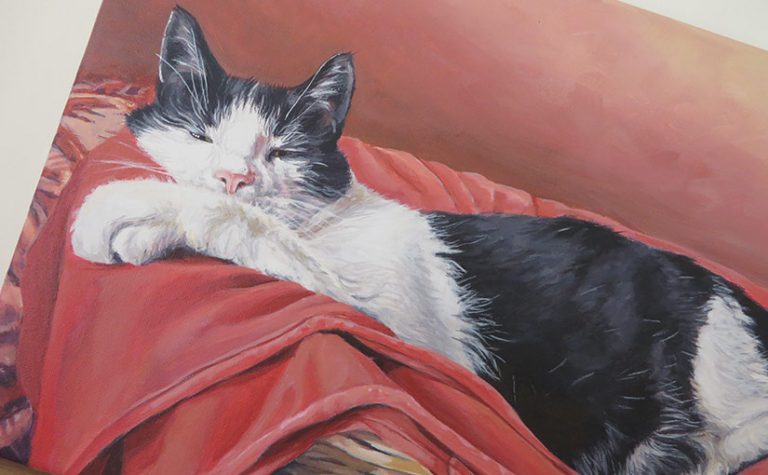 black and white cat portrait