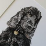 cocker spaniel dog portrait detail