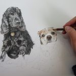 drawing a dog portrait