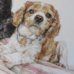 king charles cavalier dog portrait detail