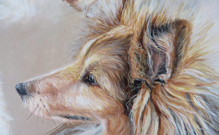 dog portrait detail