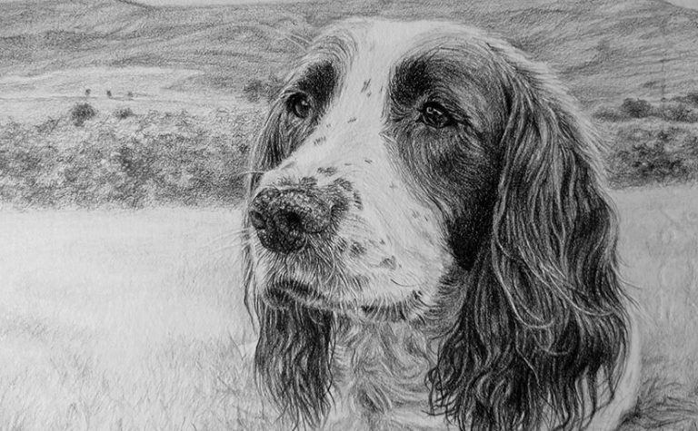 dog portrait detail