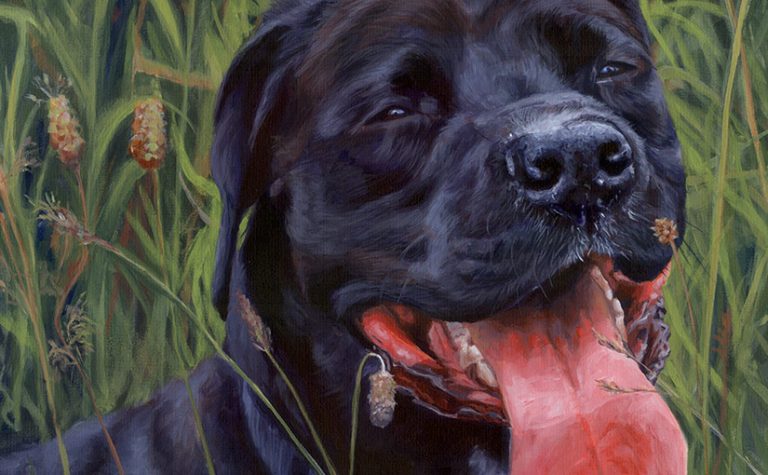 acrylic dog portrait detail