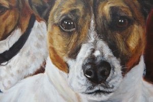 Detailed view - Freddie