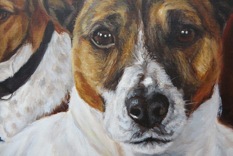 Detailed view - Freddie