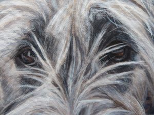 close up view of dog painting