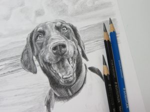 doberman sketch with pencils