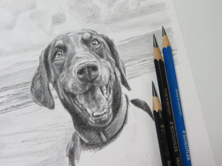 doberman sketch with pencils
