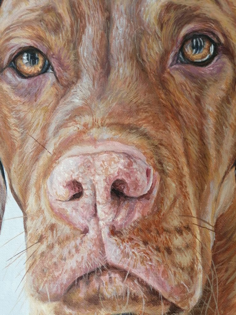 detailed photo of the canvas