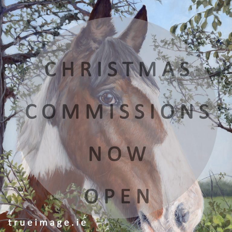 christmas gift ideas - dog, cat, pet portraits and people portraits