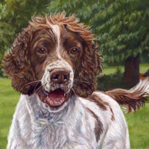 detail of a pet portrait painting of a springer spaniel dog