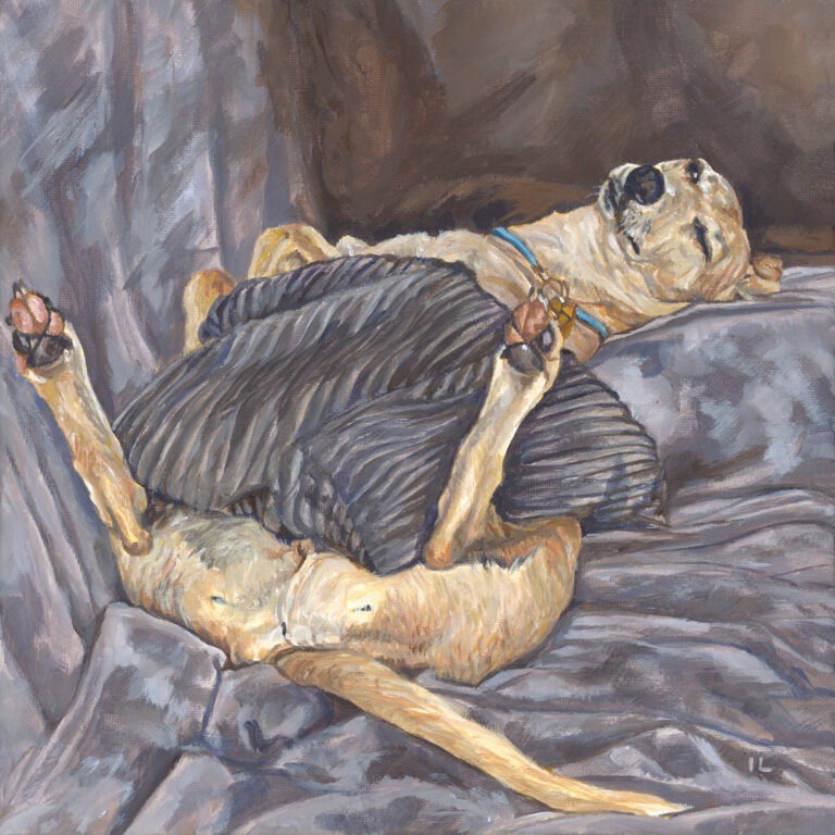 portrait painting of a whippet dog lying upside down on a sofa