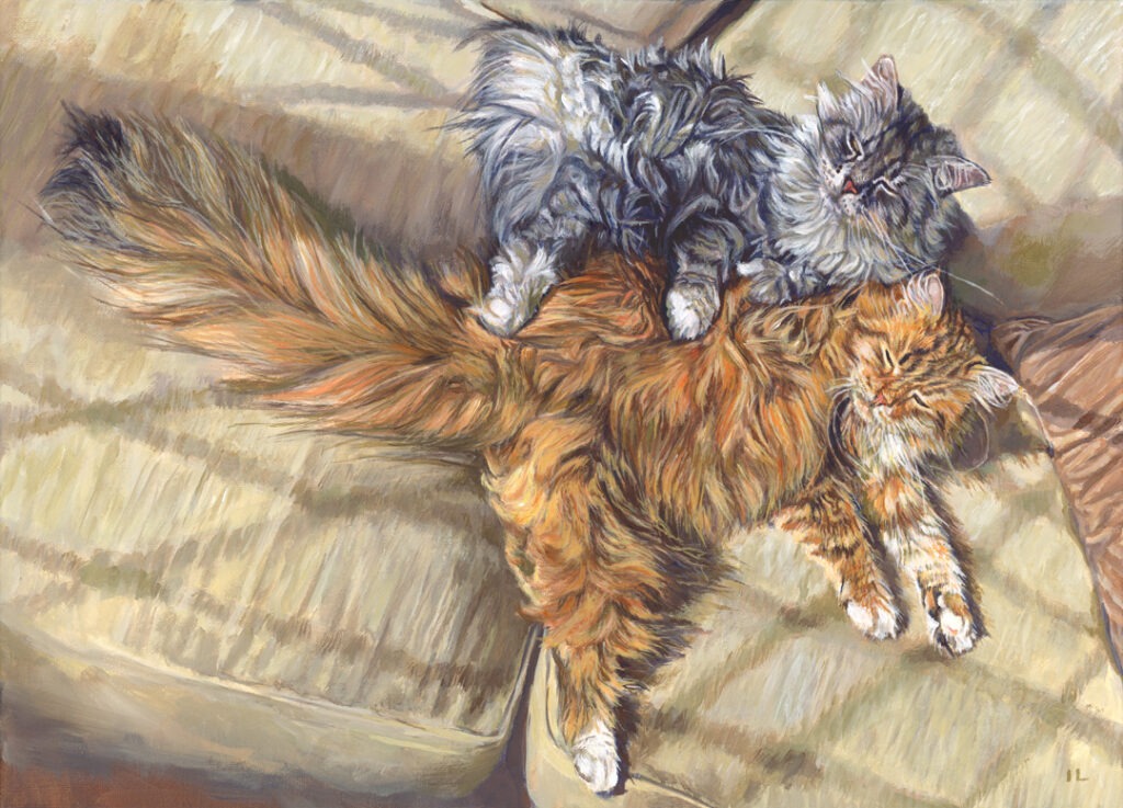 pet portrait from photo of a ginger and grey cat lying in the sun