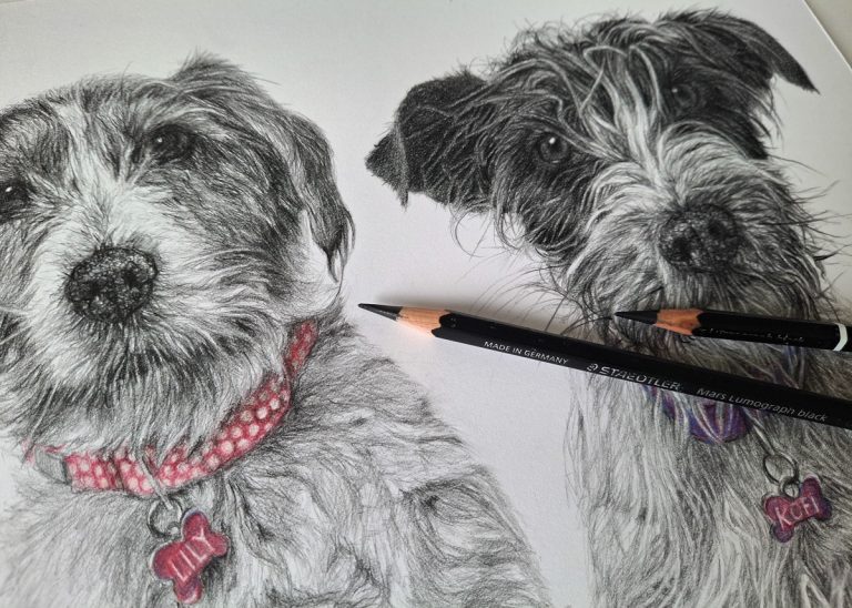 the drawing of two terrier dogs with pencils on paper in detail