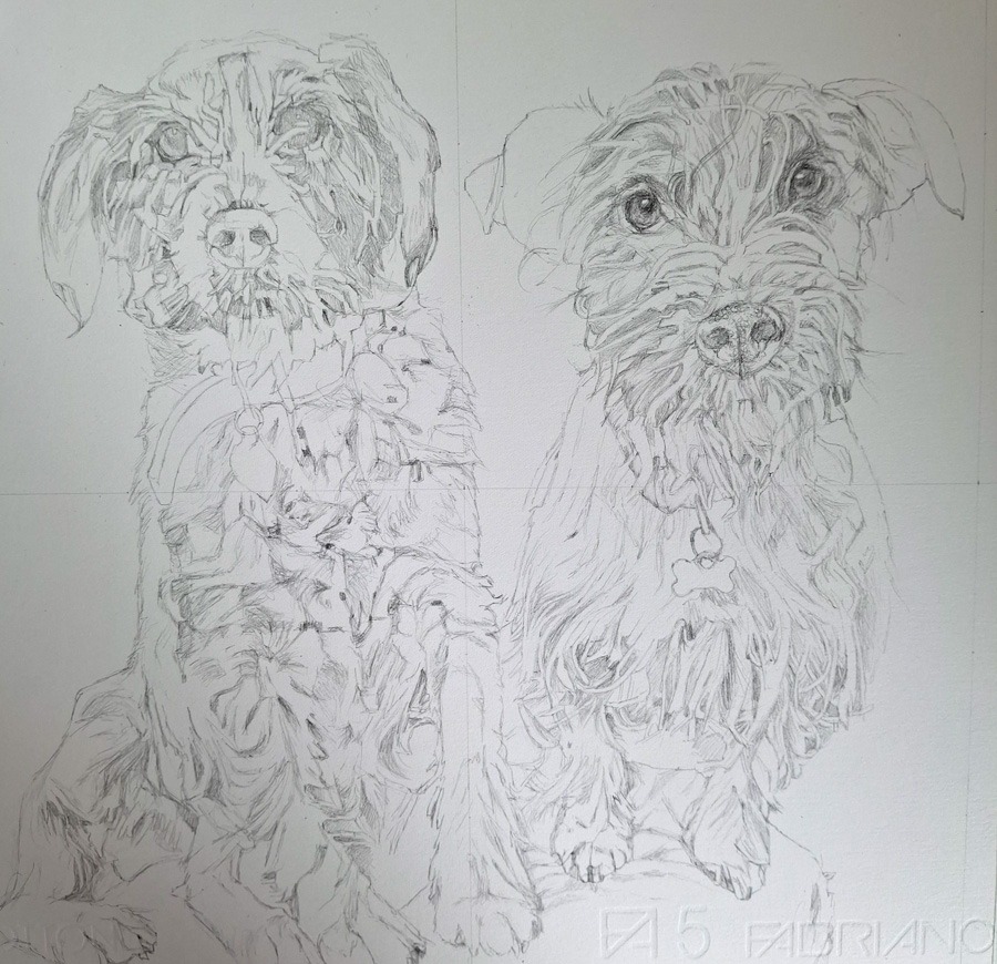 initial line sketch of two terrier dogs